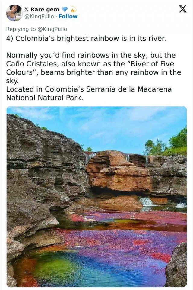 Incredible Facts (17 pics)