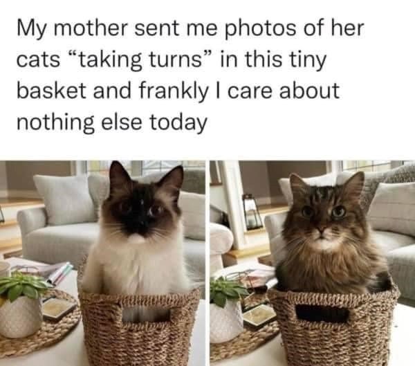 Kind Memes (34 pics)