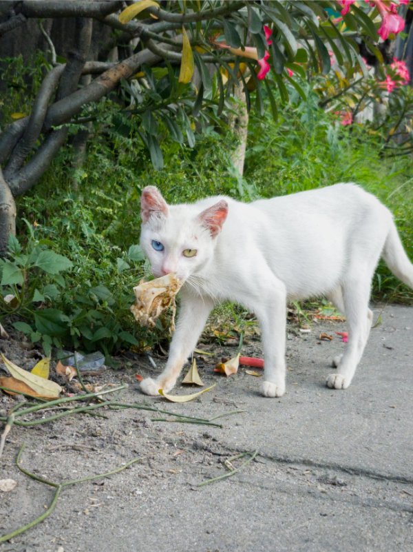 Interesting Finds (24 pics)