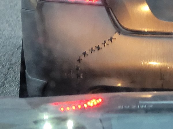 Interesting Finds (24 pics)