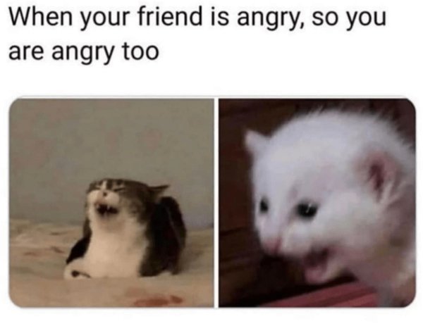 Kind Memes (34 pics)