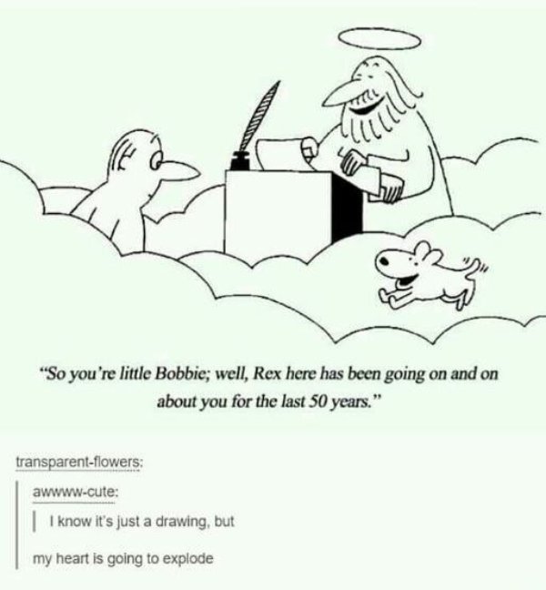 Kind Memes (34 pics)