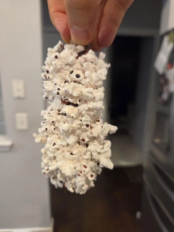 Interesting Finds (24 pics)