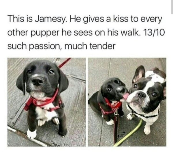 Kind Memes (34 pics)