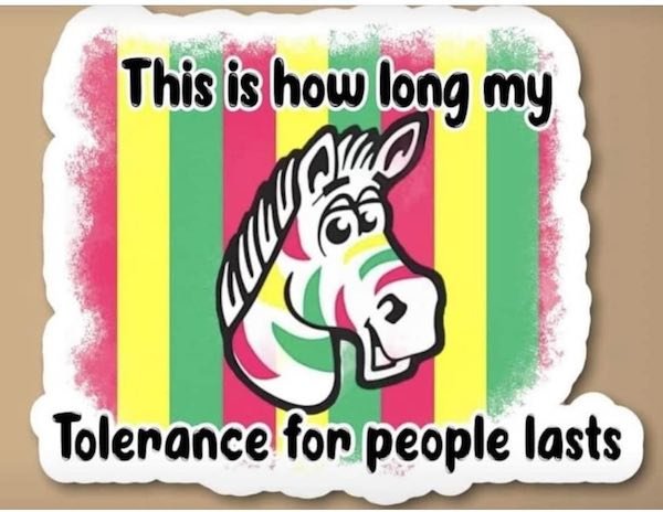 A Little Bit Of Nostalgia (60 pics)