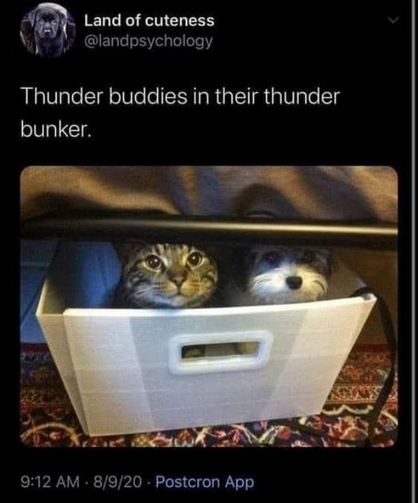 Kind Memes (34 pics)