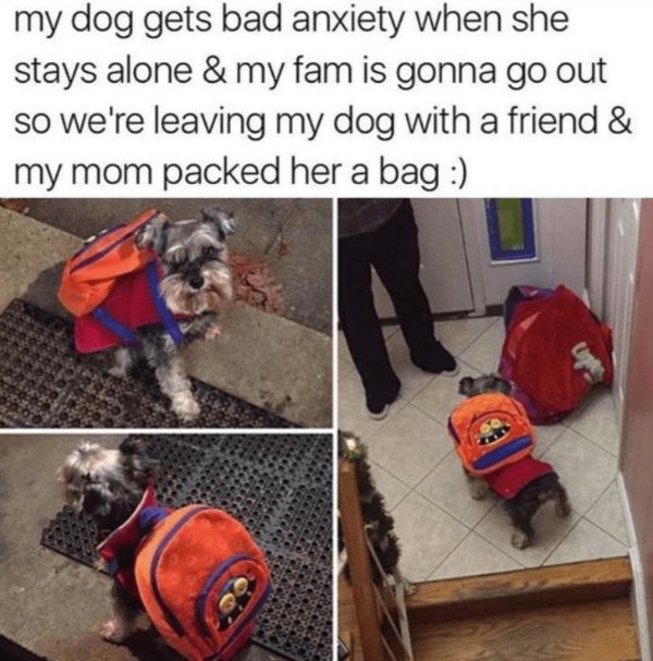 Kind Memes (34 pics)