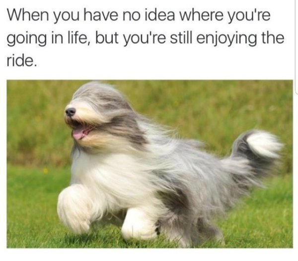 Kind Memes (34 pics)