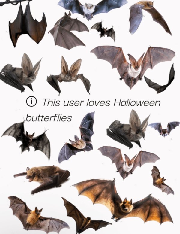 Kind Memes (34 pics)