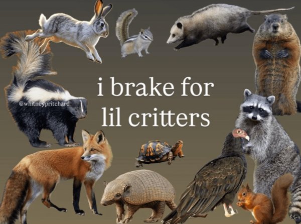 Kind Memes (34 pics)