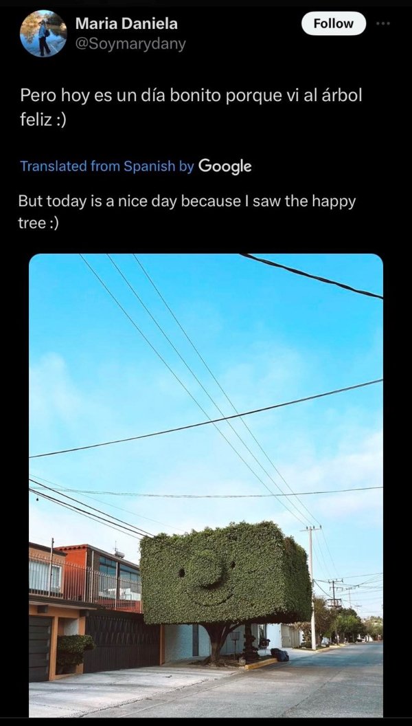 Kind Memes (34 pics)