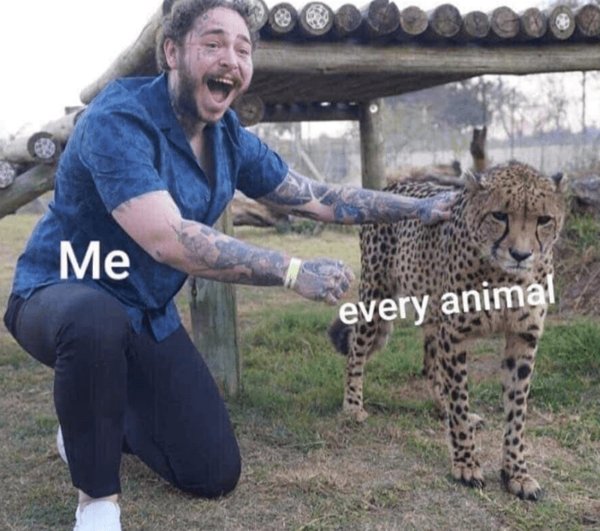 Kind Memes (34 pics)