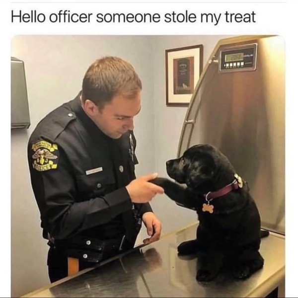 Kind Memes (34 pics)