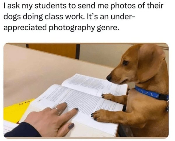 Kind Memes (34 pics)