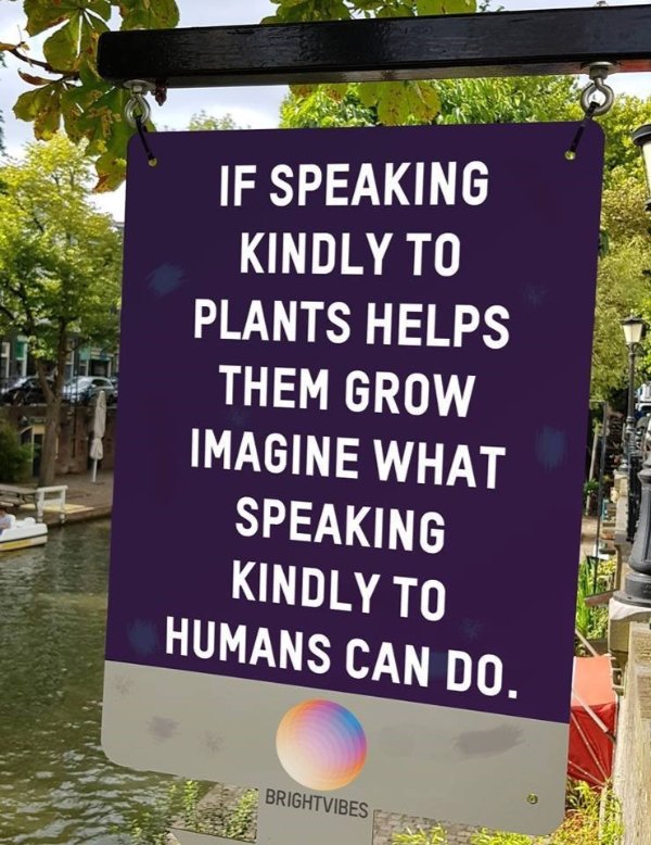 Kind Memes (34 pics)