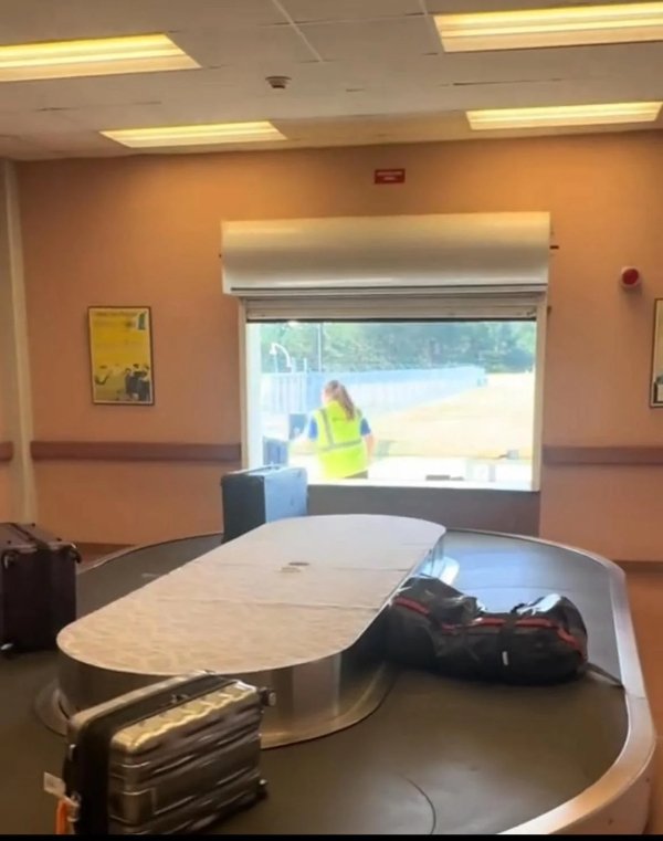 Interesting Finds (24 pics)