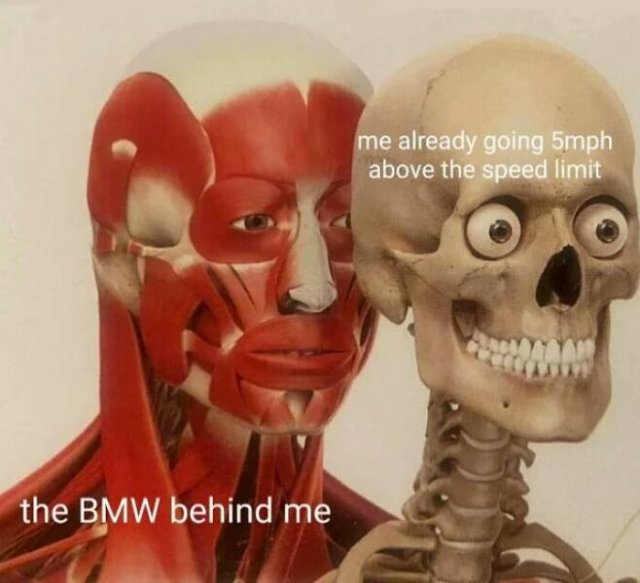 Memes For Drivers (23 pics)