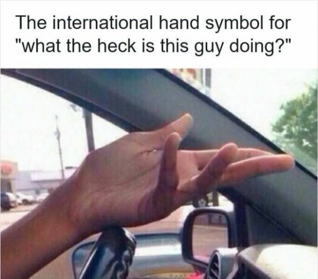 Memes For Drivers (23 pics)