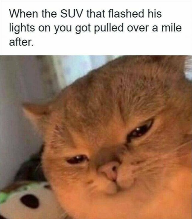 Memes For Drivers (23 pics)