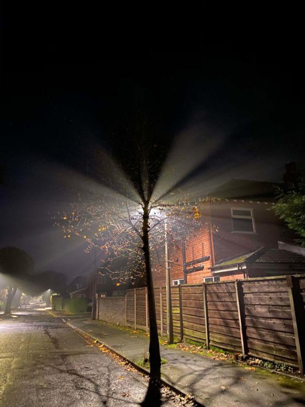 Photos For Perfectionists (23 pics)