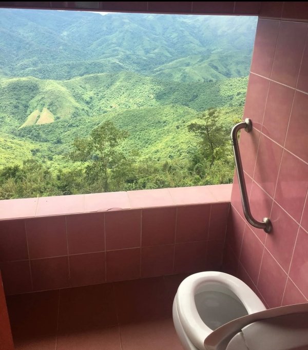 What Is Going On Here? (28 pics) What Is Going On Here? (28 pics)