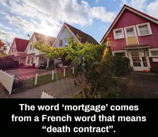 Funny Memes (50 pics)