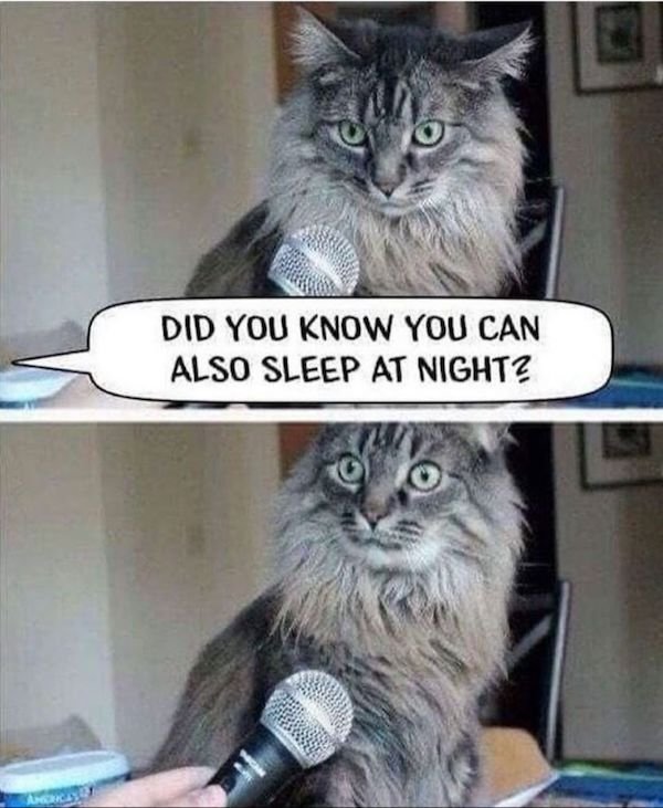 Funny Memes (50 pics)