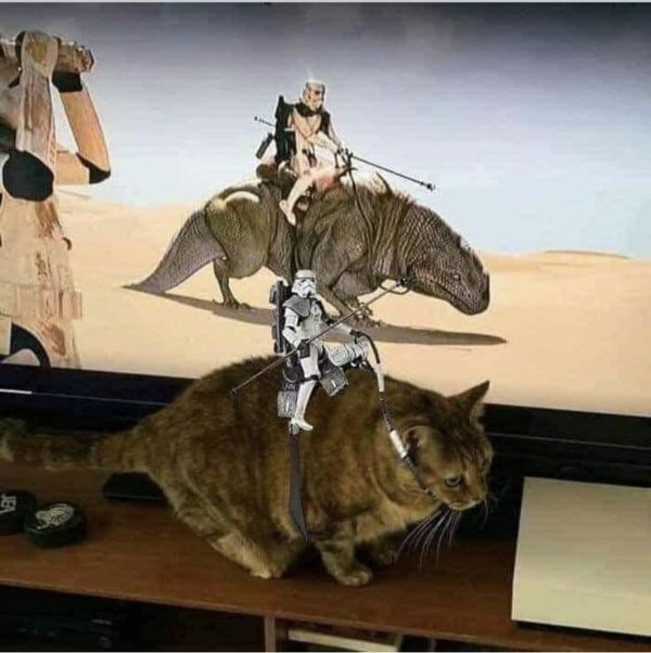 What Is Going On Here? (28 pics) What Is Going On Here? (28 pics)