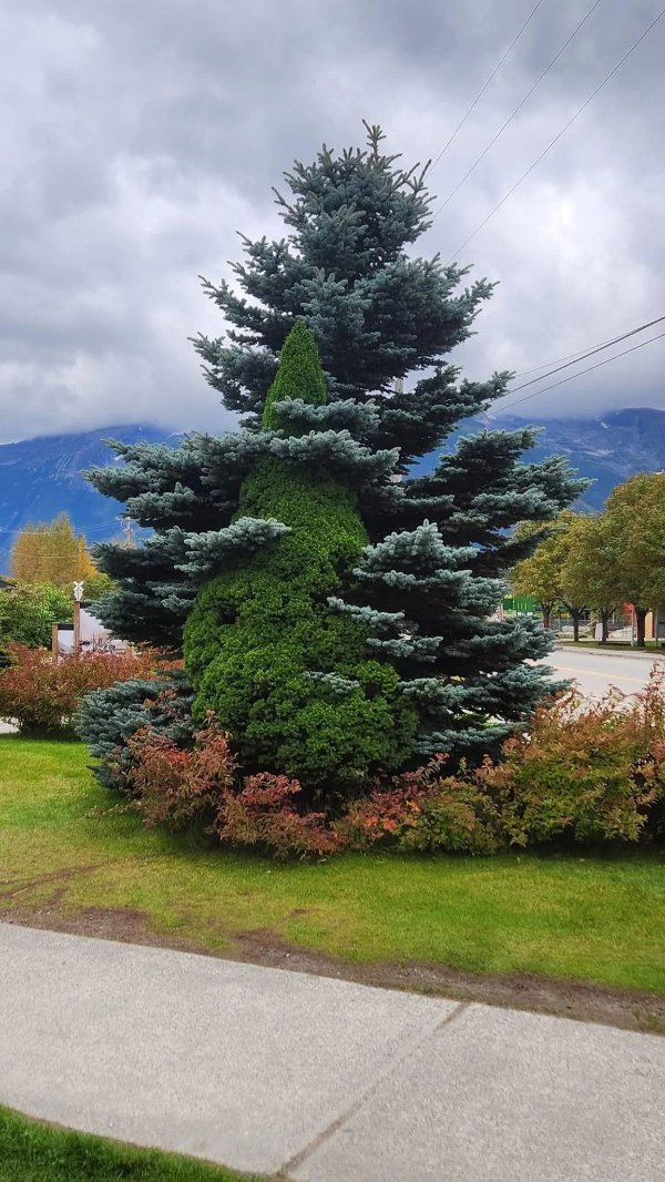 Photos For Perfectionists (23 pics)