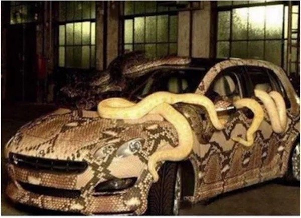 Crazy Cars (55 pics)