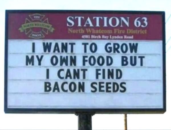 Funny Memes (50 pics)