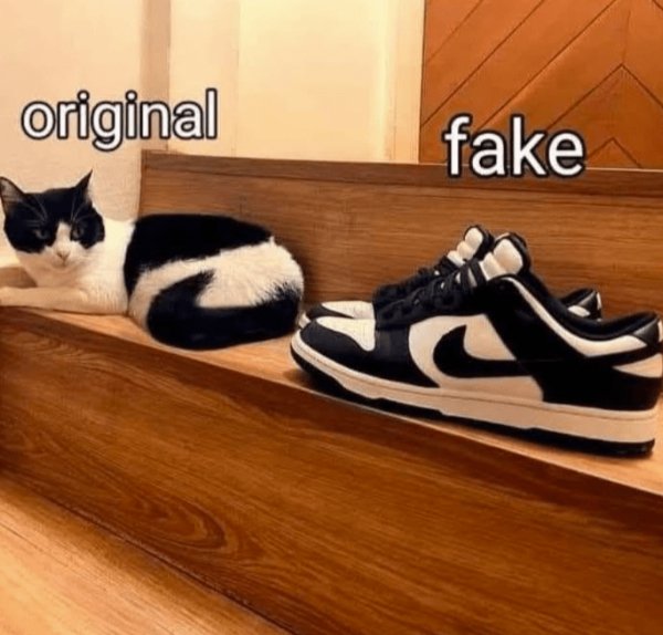 Photos And Memes For Cats Lovers (28 pics)