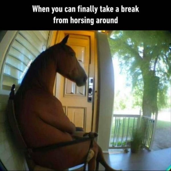 Funny Memes (50 pics)