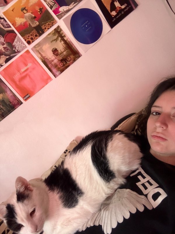 Photos And Memes For Cats Lovers (28 pics)