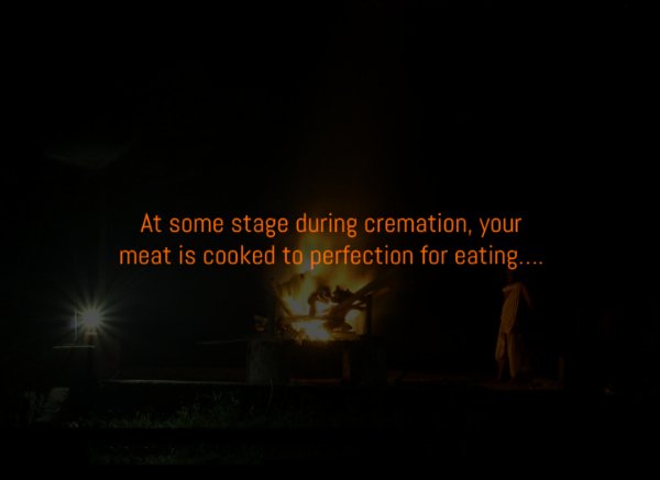 Creepy Facts (15 pics)