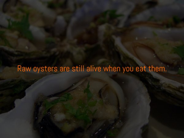 Creepy Facts (15 pics)