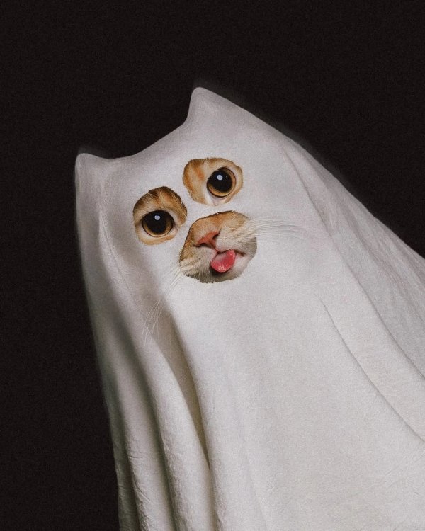 Jokes And Photos For A Good Mood (33 pics) Jokes And Photos For A Good Mood (33 pics)