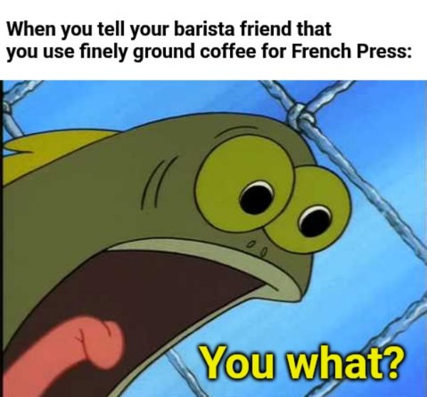 Truthful Memes (20 pics)