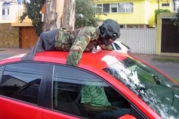 Crazy Cars (55 pics)