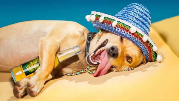 Jokes And Photos For A Good Mood (33 pics) Jokes And Photos For A Good Mood (33 pics)