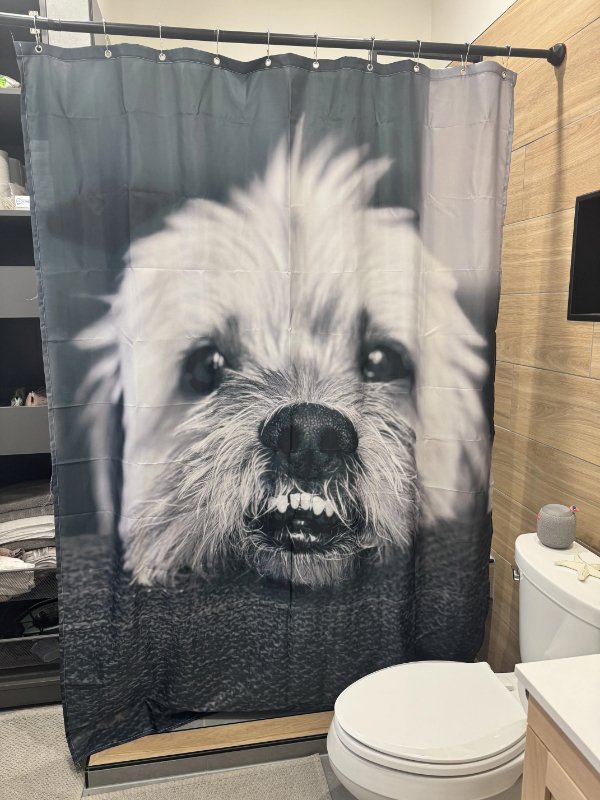 Jokes And Photos For A Good Mood (33 pics) Jokes And Photos For A Good Mood (33 pics)