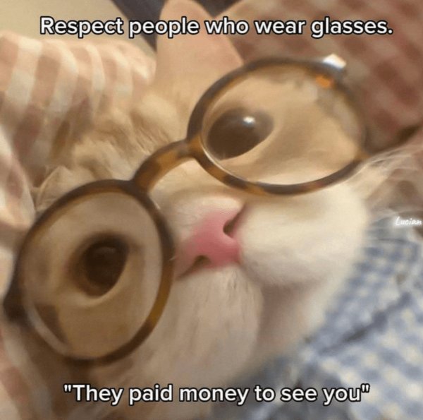 Photos And Memes For Cats Lovers (28 pics)