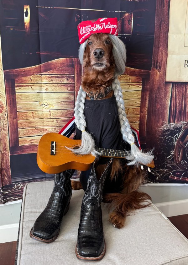 Jokes And Photos For A Good Mood (33 pics) Jokes And Photos For A Good Mood (33 pics)