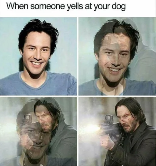 Funny Memes (50 pics)