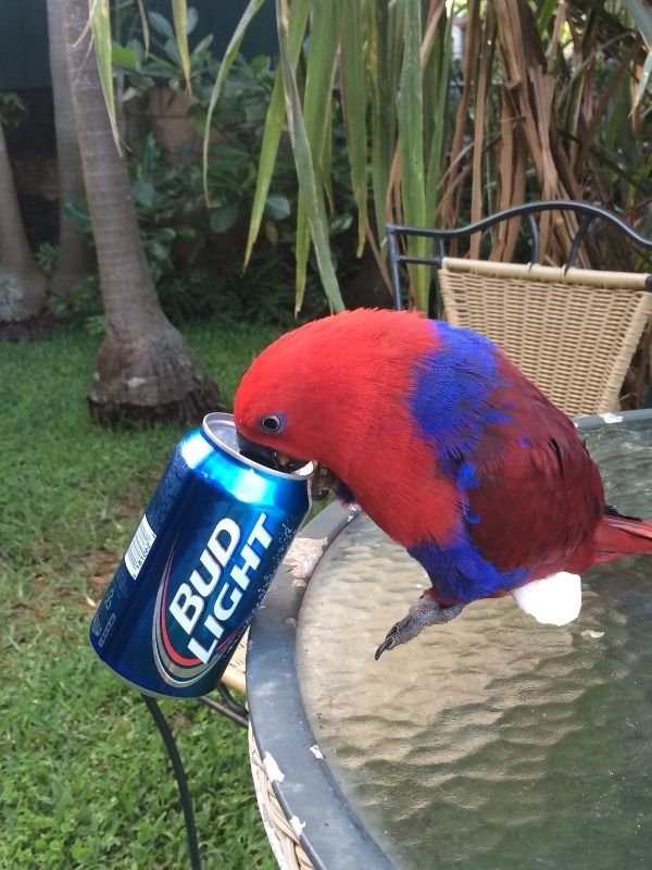 Jokes And Photos For A Good Mood (33 pics) Jokes And Photos For A Good Mood (33 pics)