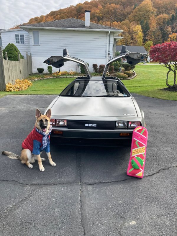 Jokes And Photos For A Good Mood (33 pics) Jokes And Photos For A Good Mood (33 pics)