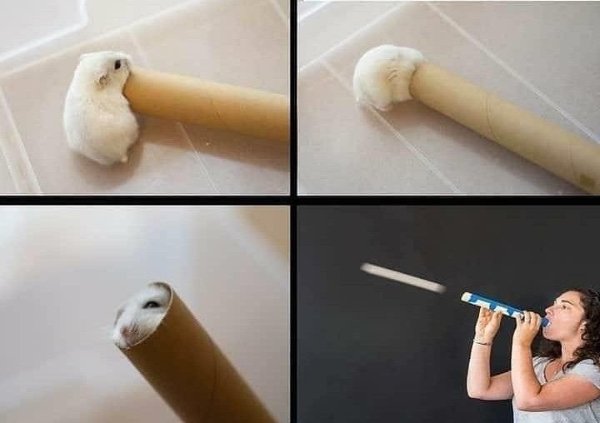 What Is Going On Here? (28 pics) What Is Going On Here? (28 pics)