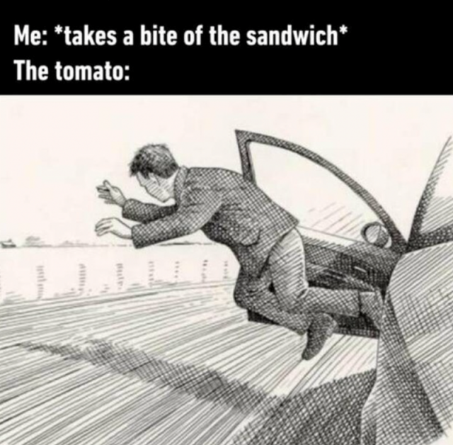 Memes For Sandwich Fans (29 pics)