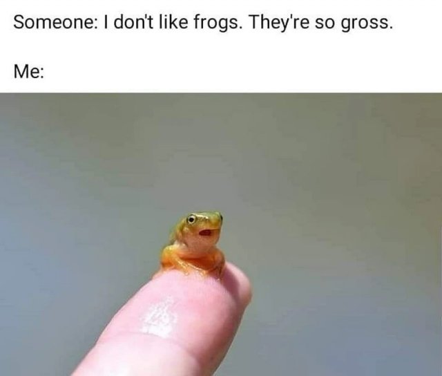 Funny Memes (38 pics) Funny Memes (38 pics)