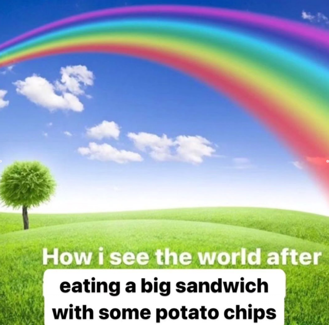 Memes For Sandwich Fans (29 pics)